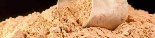 Which Whey Protein Is Best?