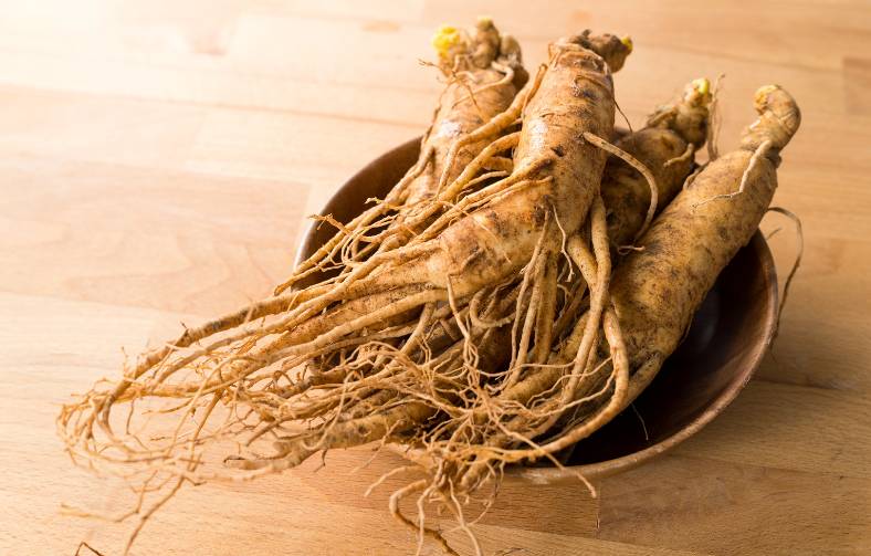 Siberian Ginseng