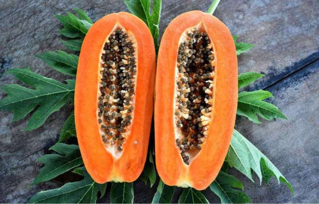 Papaya