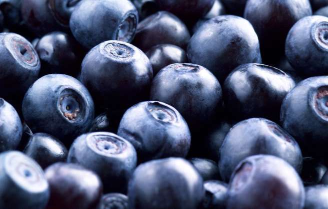 Bilberry