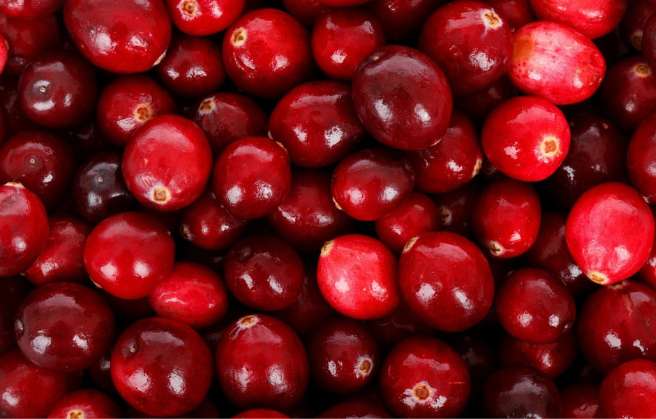 Cranberry