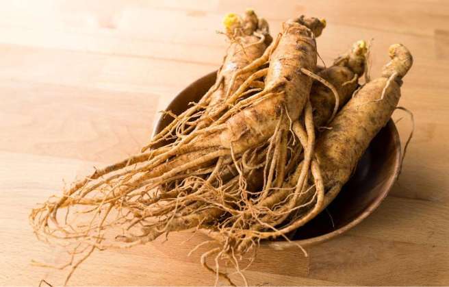 Siberian Ginseng