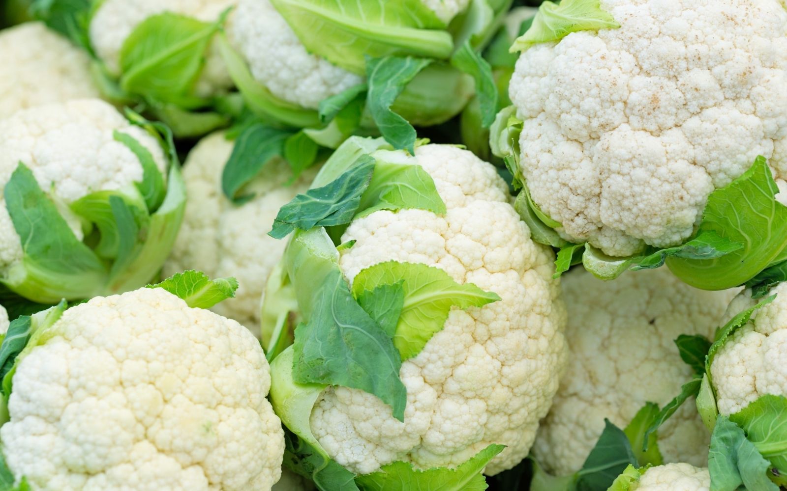 Cauliflower